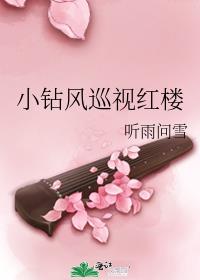 [红楼]小钻风巡视红楼